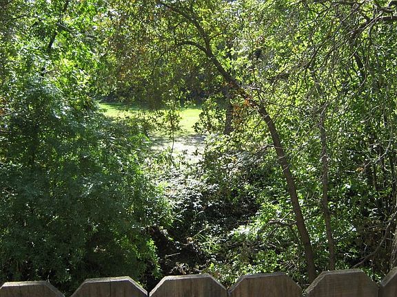 View over back fence