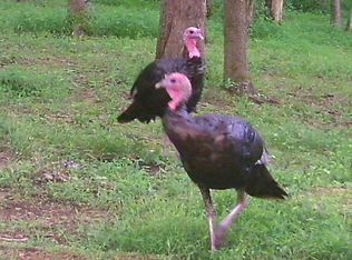 406 Church Rd, Milford, NJ 08848