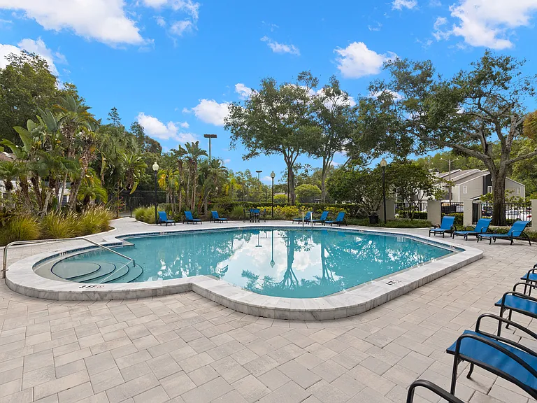 The Pointe at Carrollwood — Photo 37
