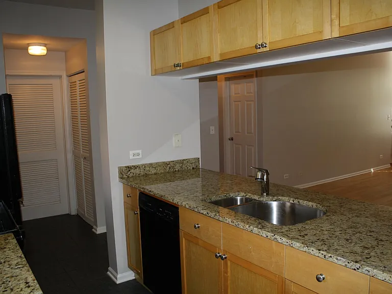 303 W Scott St #303 — Photo 9