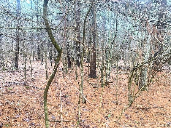 2nd image of 10138 Schuknecht Rd