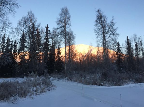 9329 N Little Otter Dr, Palmer, AK 99645