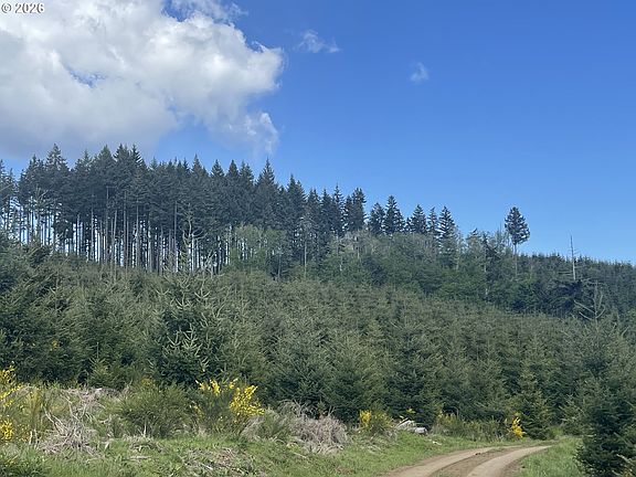 2nd image of Rock Creek Rd