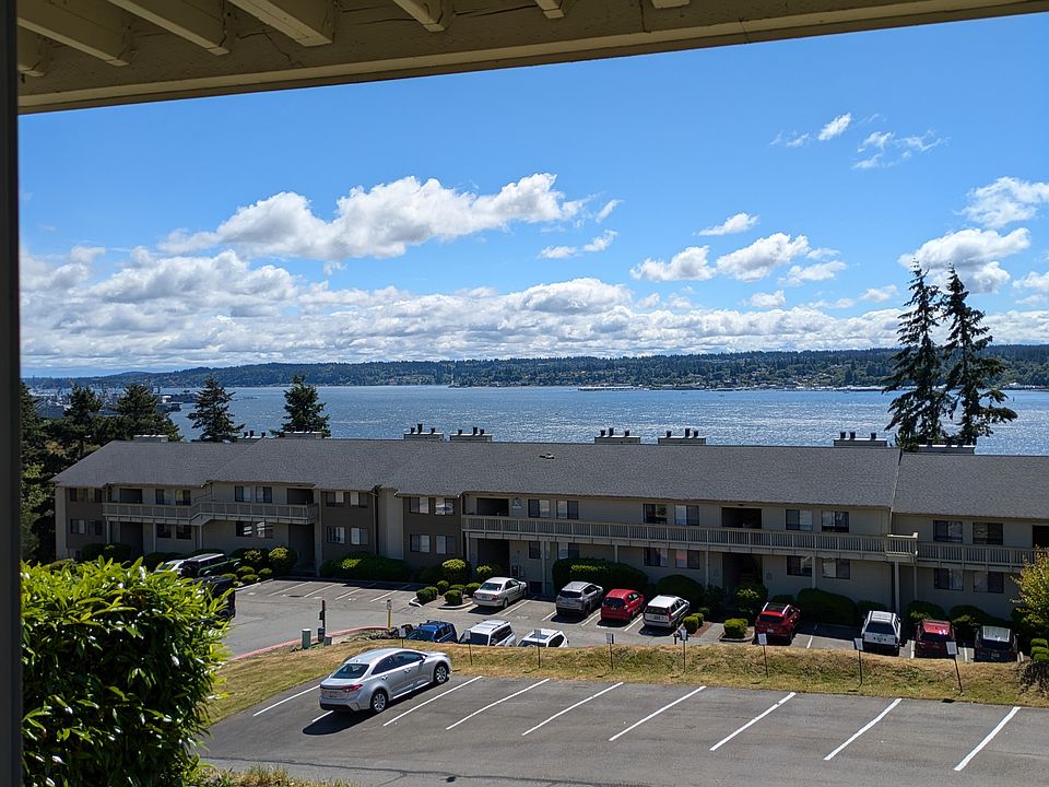 The view from the back patio.