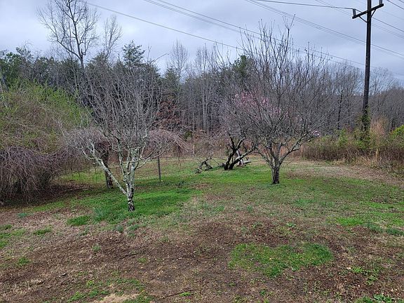 View from the back porch