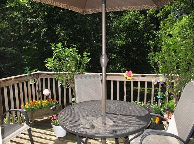 Summer Views from the deck.