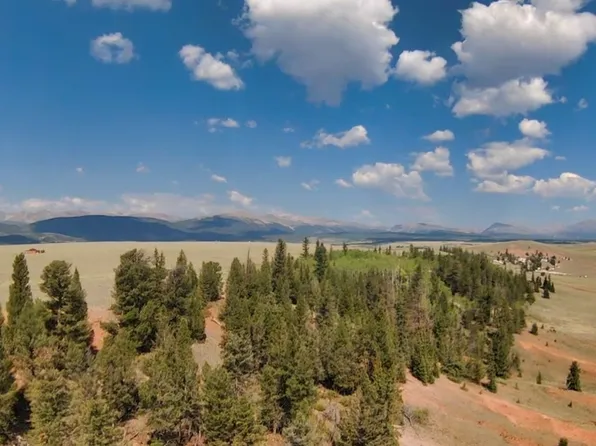 4335 Meier Ridge Trail, Fairplay, CO 80440