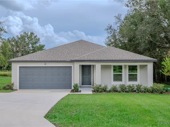 20 W Vince Pl, Citrus Springs, FL 34433