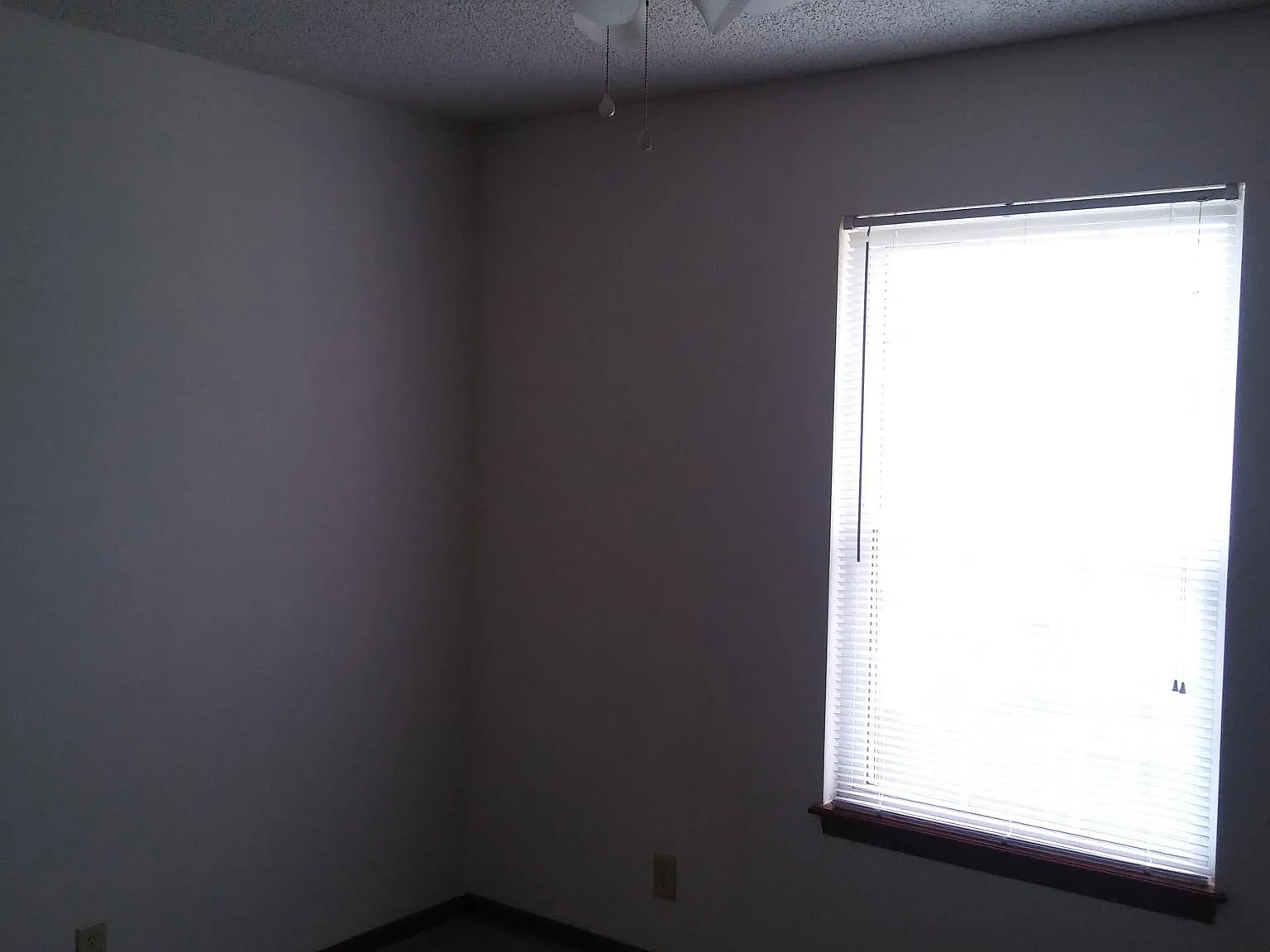 3 bed, 1.5 bath, 1400 sqft, $1,350 — Photo 3