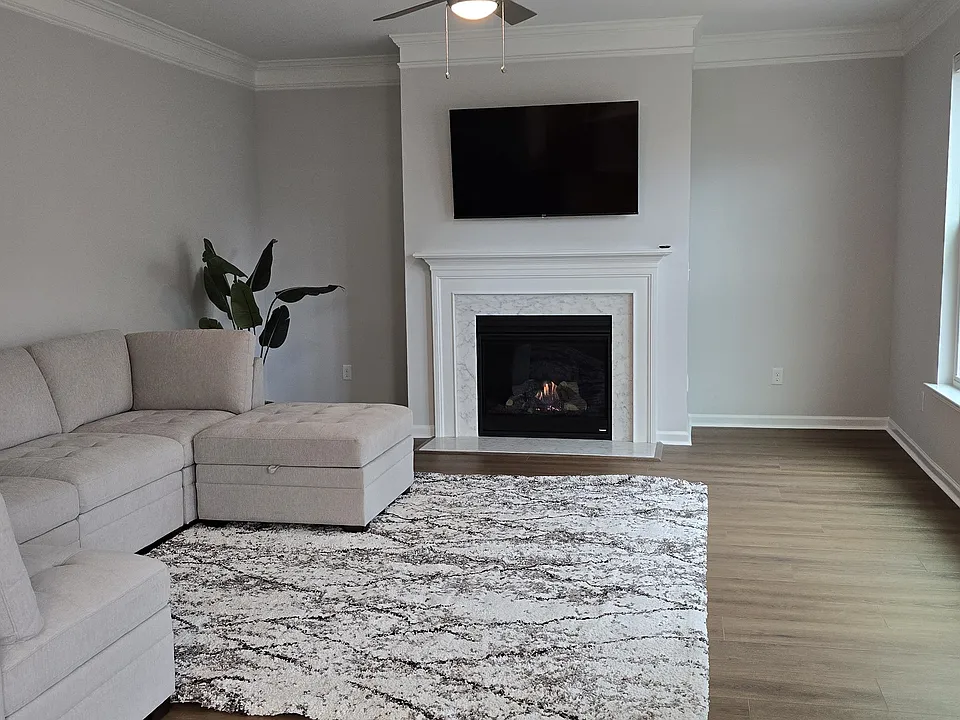Modern & Elegant Furnishings
