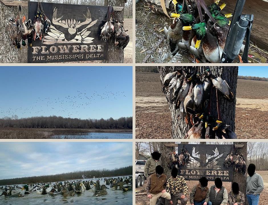 22nd image of this home