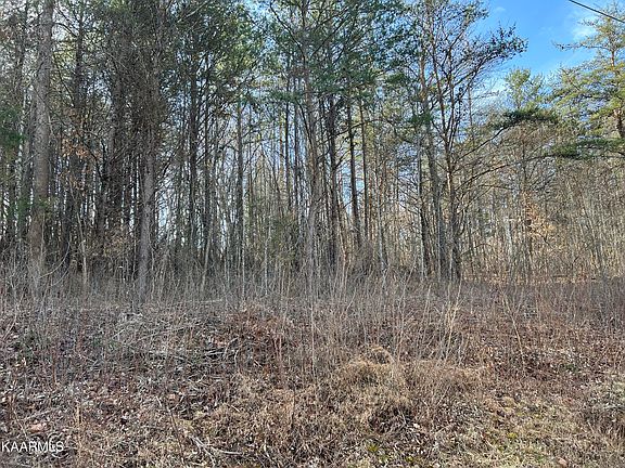 3rd image of Lots 22&23 Lonesome Dove Ln