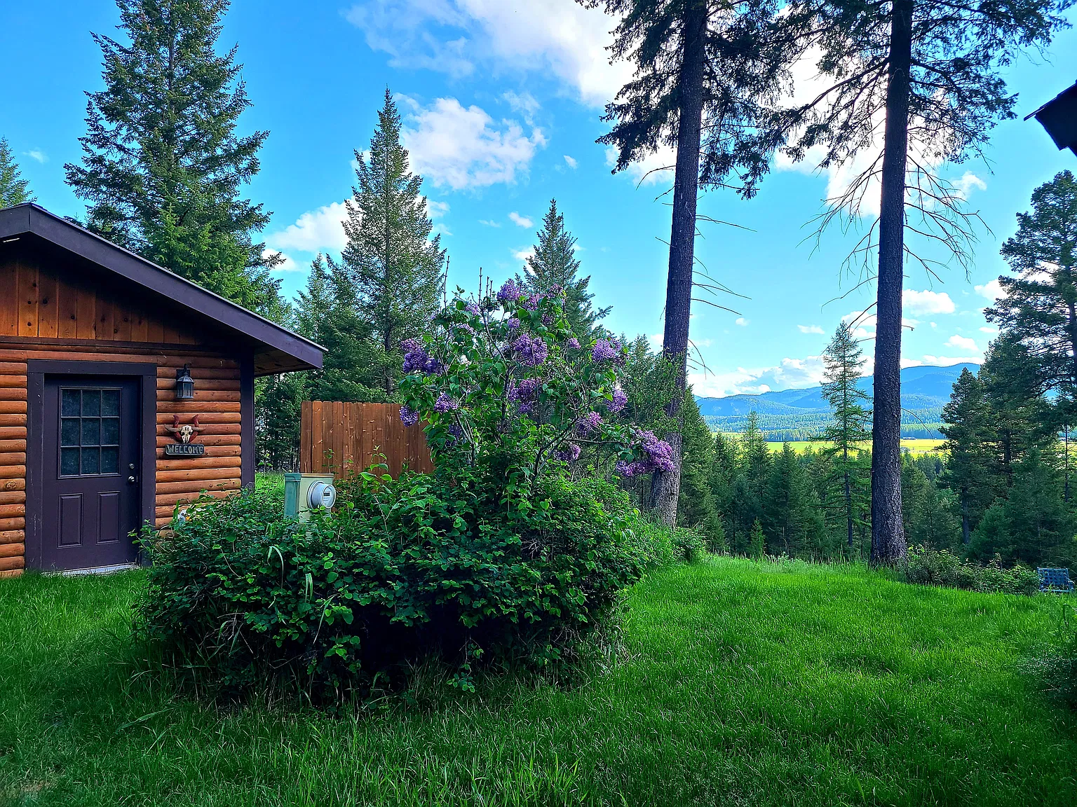 1 bed, 800 sqft, $2,150 — Photo 2