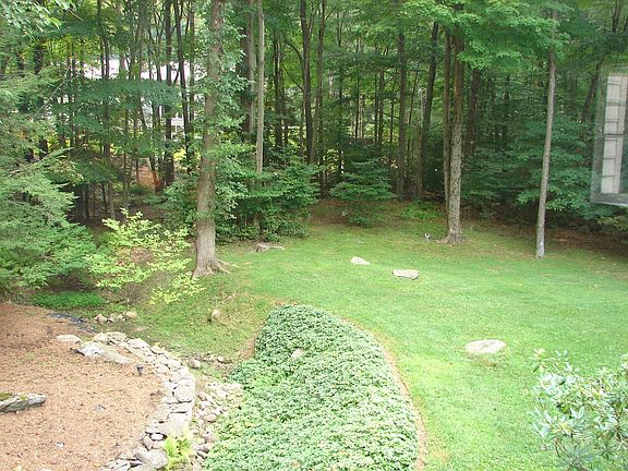 View of Backyard