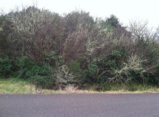 249 N Wynoochee Dr SW, Ocean Shores, WA 98569