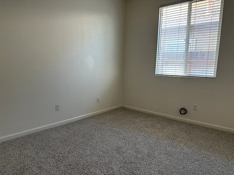 10037 Wild Orchid Way — Photo 23