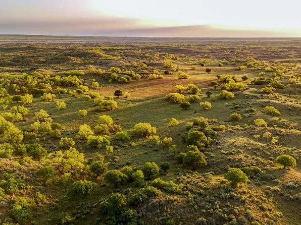 1241 County Road 24, Estelline, TX 79233