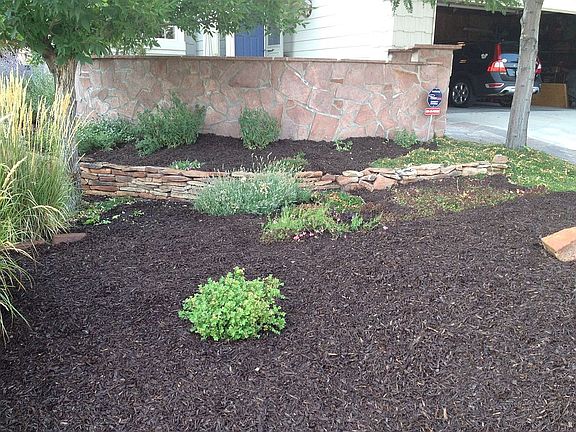 front yard