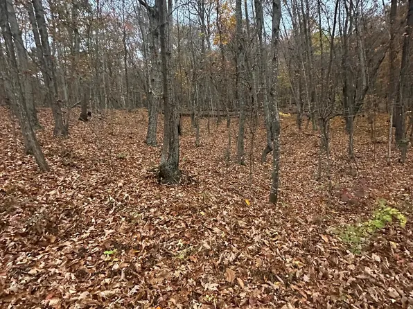 370 Crosswoods Ln, Fort Valley, VA 22652