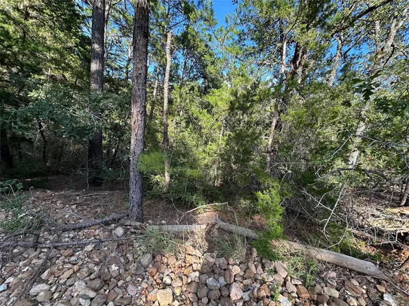 169 Molokini Dr, Bastrop, TX 78602