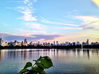 Sold by Bond New York