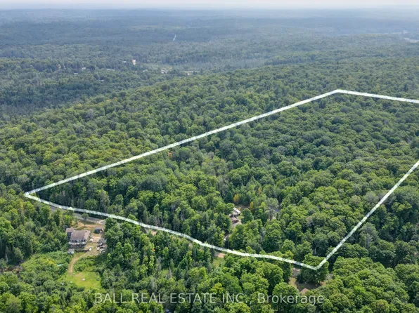 2884 Old Hastings Rd, Wollaston, ON K0L 1P0