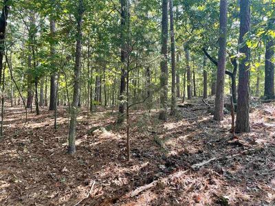 39 Valhalla Dr, Edgemont, AR, 72044