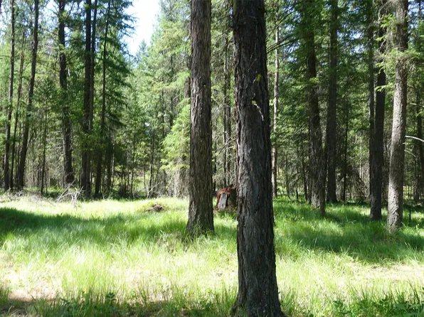 0 Skyline Way, Libby, MT 59923