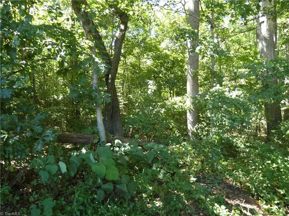 0 Aspen St, Yadkinville, NC 27055