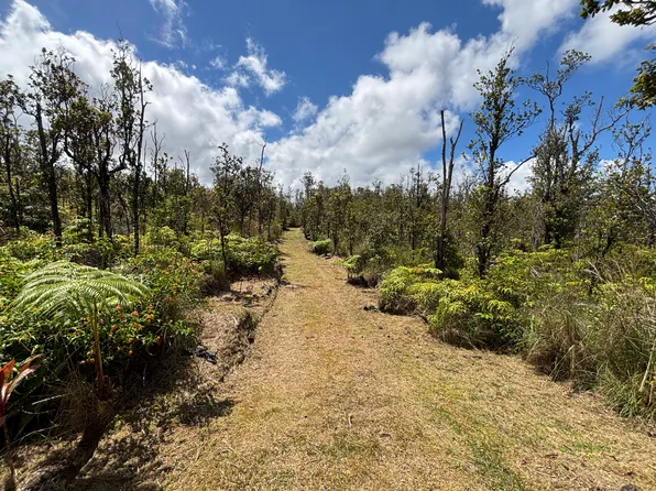 11-2566 Ohialani Rd Lot 79, Volcano, HI 96785
