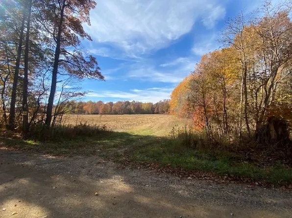 57th St Parcel B, Grand Junction, MI 49056
