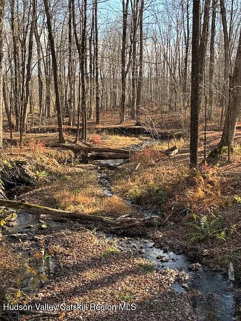 2nd image of 0 Knapp Hollow