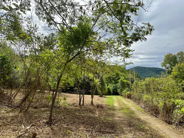Greasy Cove Rd, Cosby, TN 37722