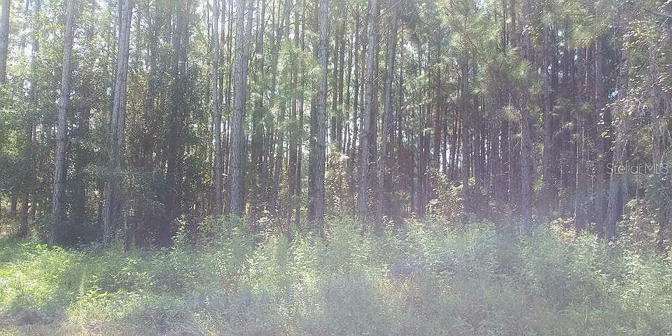 2nd image of Poyner Rd