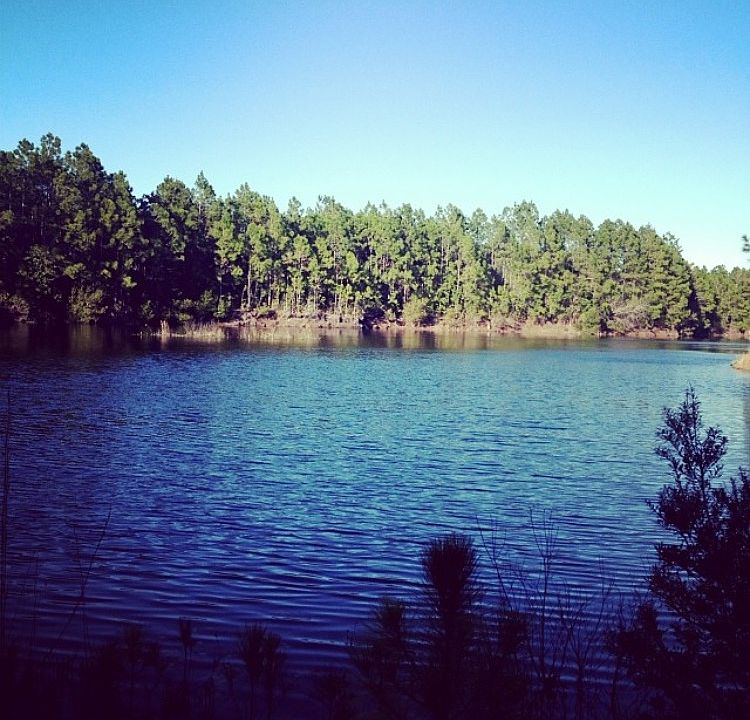 1st image of 336 Crystal Lake Dr