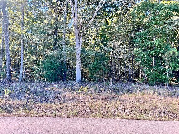 2nd image of 0 Melvin Qualls Rd