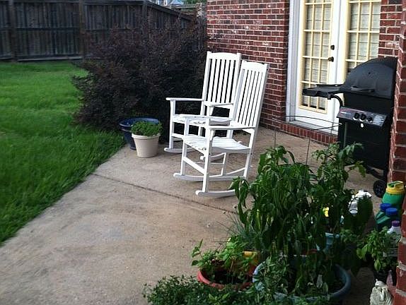 Patio and backyard