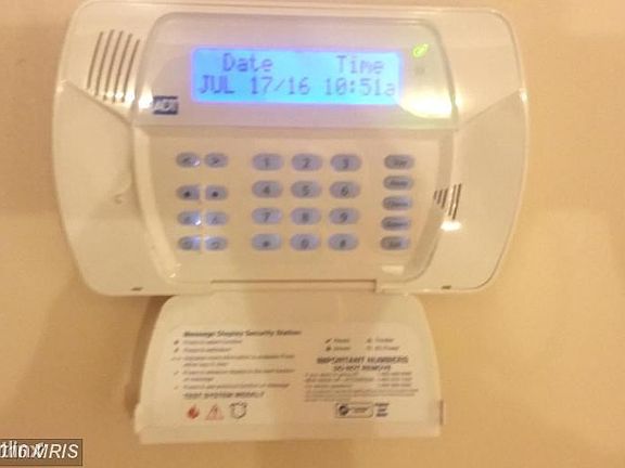 0002_498537076_large