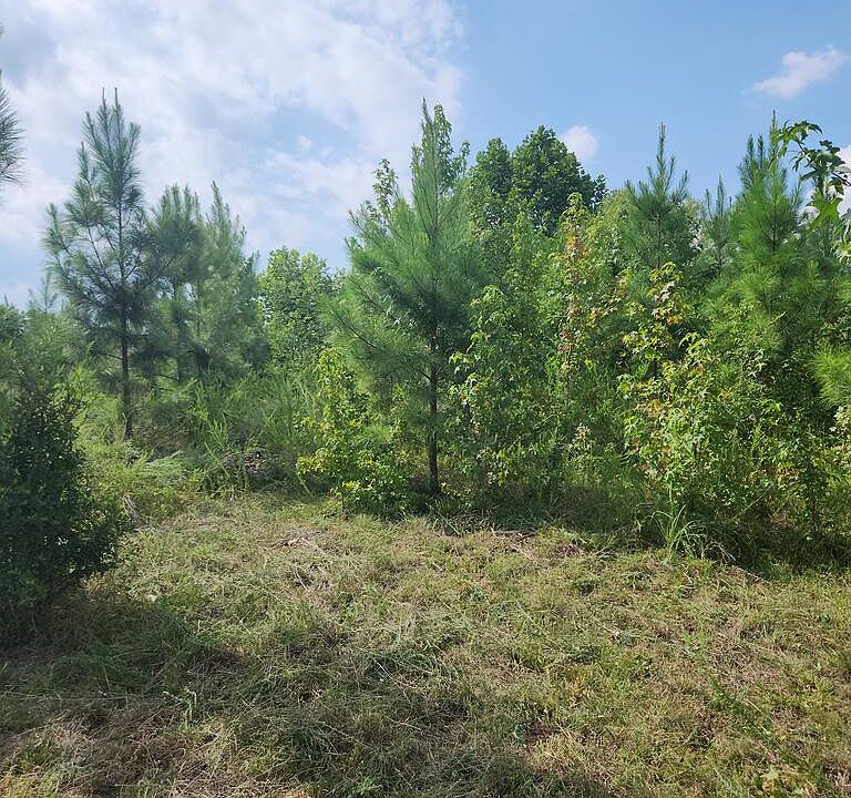 2nd image of 1 Mount Tabor Rd