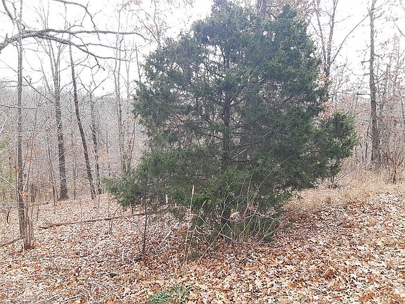 3rd image of Montgomery Ln #16-2128000