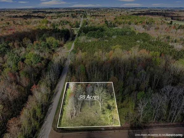 14-V/L Brown Rd, Vassar, MI 48768