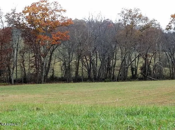 York Ln, Crossville, TN 38555