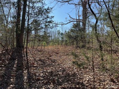 TRACT 3 Lake Rd, Silva, MO, 63964