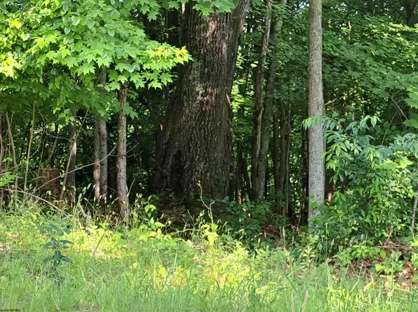 Lillian Rd, Philippi, WV 26416