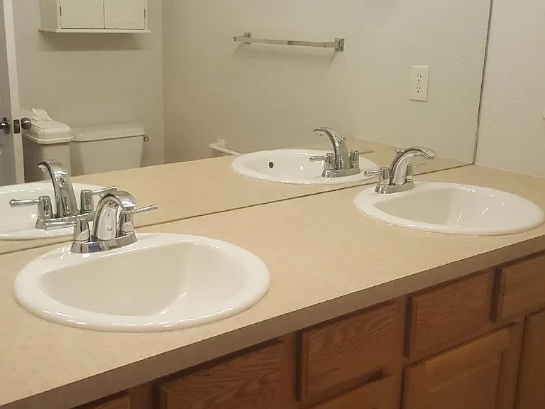 Master bath with 2 sinks, extra large shower