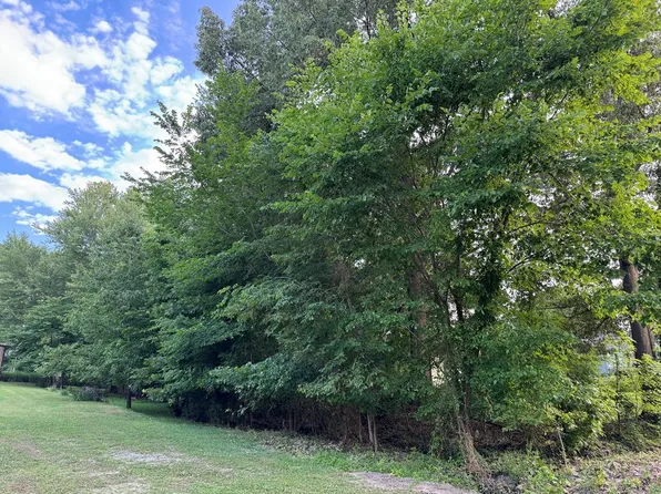 7 Antioch Harbor Rd, Springville, TN 38256