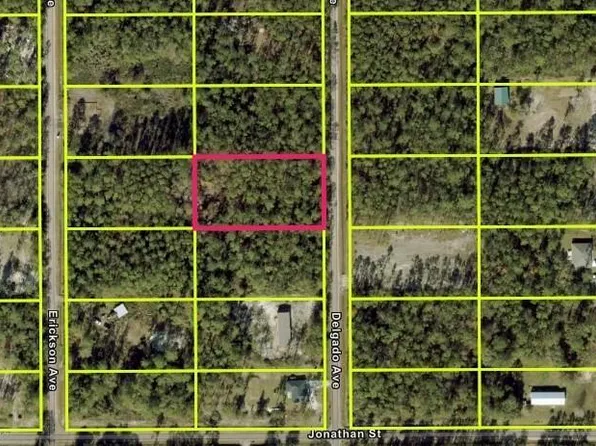 10705 Delgado Avenue, Hastings, FL 32145