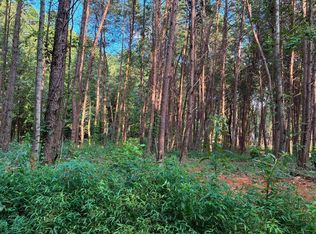 100 County Road 262 Lot 4, Niota, TN 37826