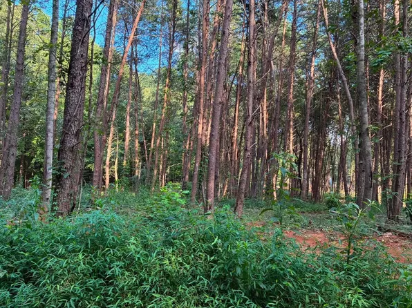 100 County Road 262 Lot 4, Niota, TN 37826