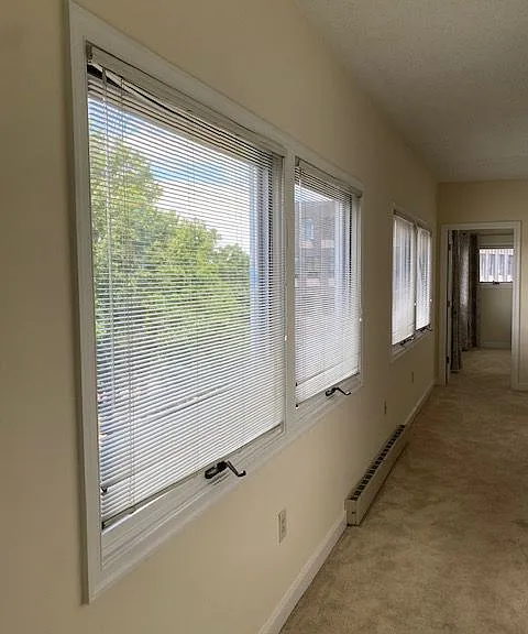 Wall of windows in living room.